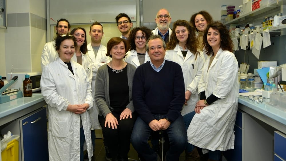 Sviluppo del tumore, la nuova scoperta dei ricercatori dell’Università di Perugia